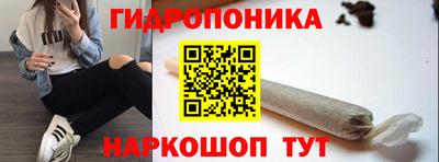 ALPHA PVP Новозыбков