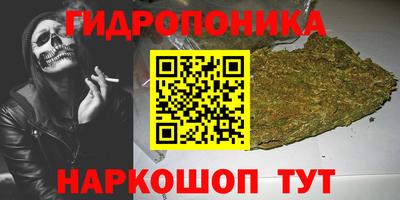 ALPHA PVP Новозыбков