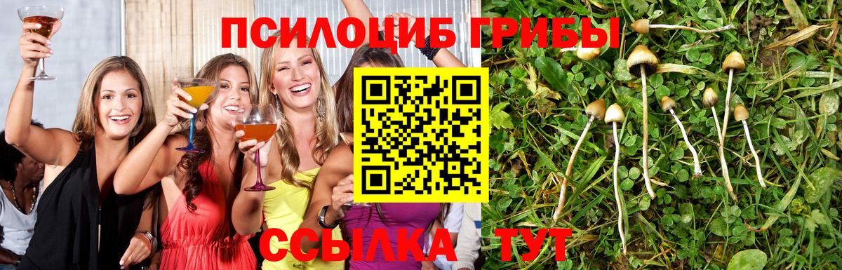 Галлюциногенные грибы мицелий  Галлюциногенные грибы MAGIC MUSHROOMS  Элиста  Вход с VPN 