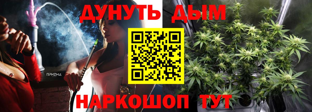 Бошки Шишки план  Вход с VPN  Элиста  Канабис Bruce Banner 